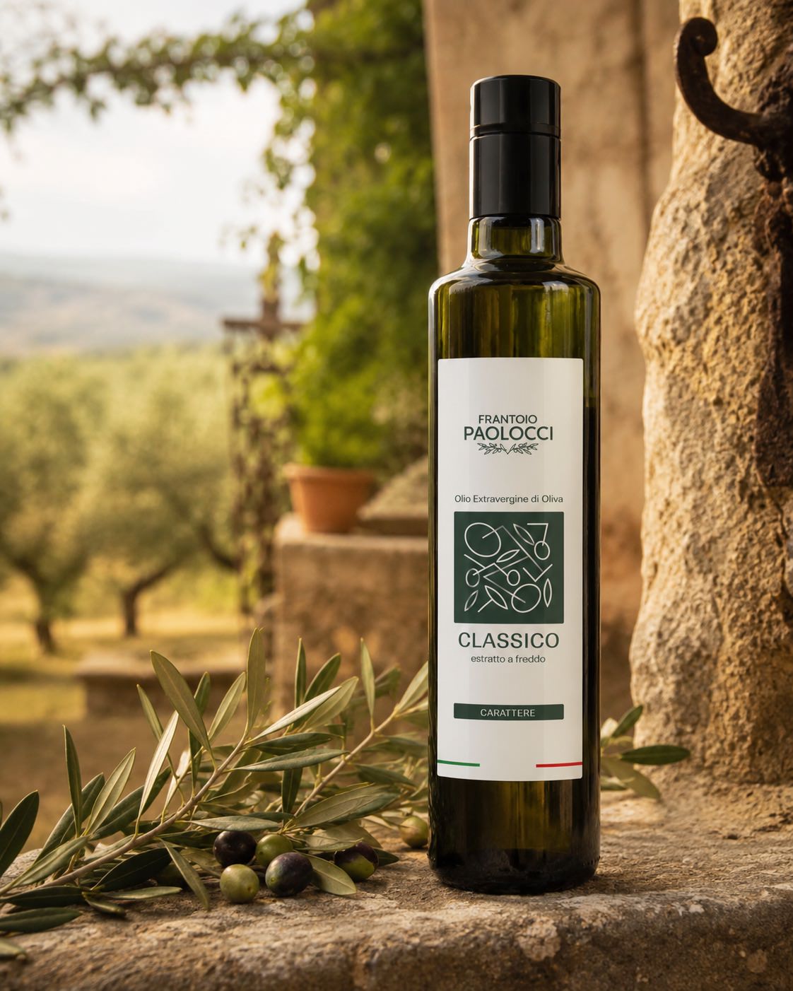 Bottiglia di olio extravergine di oliva Classico Carattere Frantoio Paolocci su pietra con rami di olivo e olive