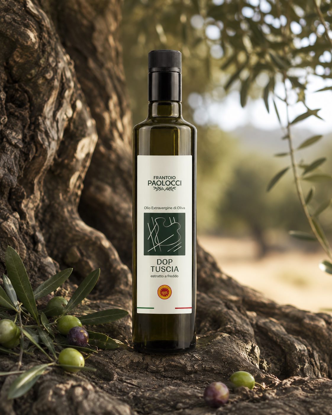 Extra Virgin Olive Oil PDO Tuscia