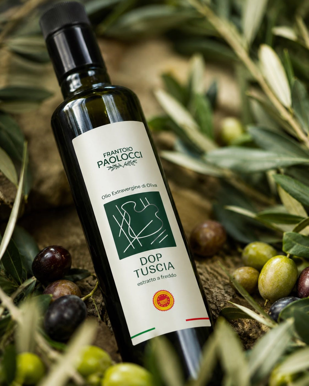 Olio Extravergine di Oliva DOP Tuscia